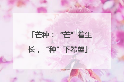 芒种：“芒”着生长，“种”下希望