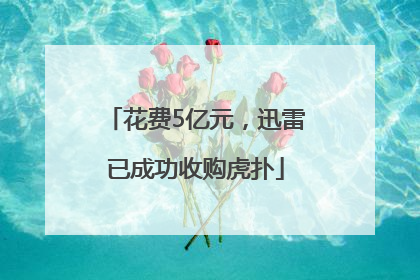花费5亿元，迅雷已成功收购虎扑