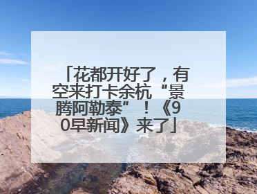 花都开好了，有空来打卡余杭“景腾阿勒泰”！《90早新闻》来了
