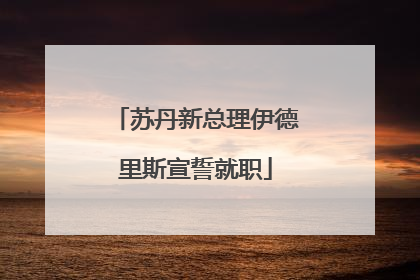 苏丹新总理伊德里斯宣誓就职