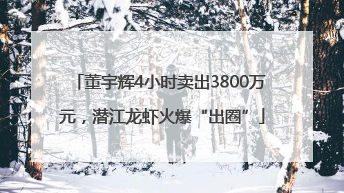 董宇辉4小时卖出3800万元，潜江龙虾火爆“出圈”