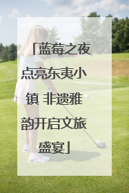 蓝莓之夜点亮东夷小镇 非遗雅韵开启文旅盛宴