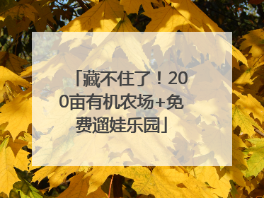 藏不住了！200亩有机农场+免费遛娃乐园