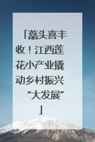 藠头喜丰收!江西莲花小产业撬动乡村振兴“大发展”