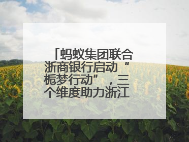 蚂蚁集团联合浙商银行启动“栀梦行动”，三个维度助力浙江下姜村建设共富示范区示范点