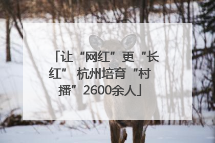让“网红”更“长红” 杭州培育“村播”2600余人