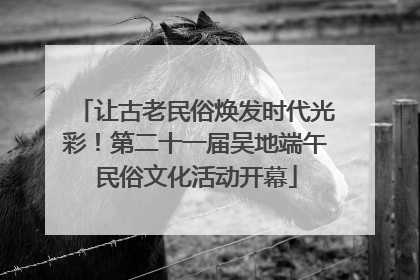 让古老民俗焕发时代光彩！第二十一届吴地端午民俗文化活动开幕