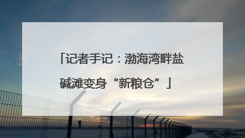 记者手记：渤海湾畔盐碱滩变身“新粮仓”