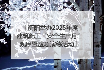 衡阳举办2025年度建筑施工“安全生产月”观摩暨应急演练活动