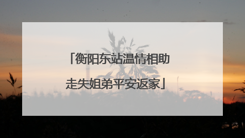 衡阳东站温情相助 走失姐弟平安返家