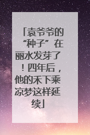 袁爷爷的“种子”在丽水发芽了！四年后，他的禾下乘凉梦这样延续