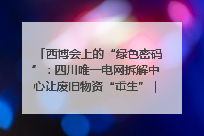 西博会上的“绿色密码”：四川唯一电网拆解中心让废旧物资“重生”｜西博寻“新”记