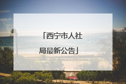 西宁市人社局最新公告