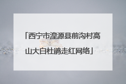 西宁市湟源县前沟村高山大白杜鹃走红网络