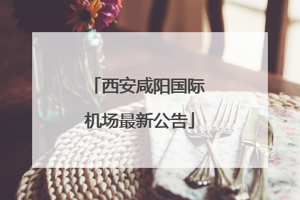西安咸阳国际机场最新公告