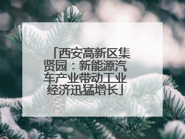西安高新区集贤园：新能源汽车产业带动工业经济迅猛增长