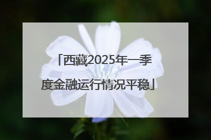 西藏2025年一季度金融运行情况平稳