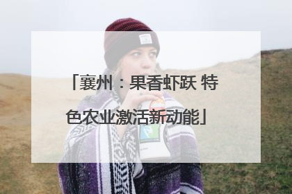 襄州：果香虾跃 特色农业激活新动能