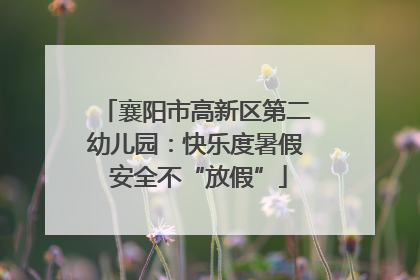 襄阳市高新区第二幼儿园：快乐度暑假 安全不“放假”