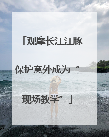 观摩长江江豚保护意外成为“现场教学”