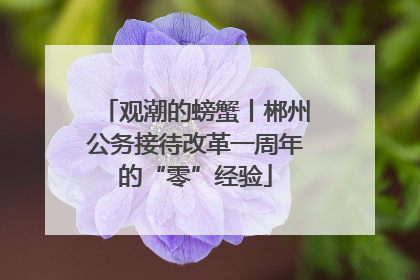观潮的螃蟹丨郴州公务接待改革一周年的“零”经验