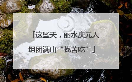 这些天，丽水庆元人组团满山“找苦吃”