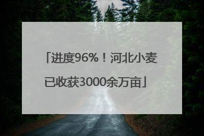 进度96%！河北小麦已收获3000余万亩