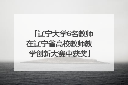 辽宁大学6名教师在辽宁省高校教师教学创新大赛中获奖