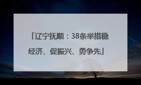辽宁抚顺：38条举措稳经济、促振兴、勇争先