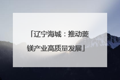 辽宁海城：推动菱镁产业高质量发展