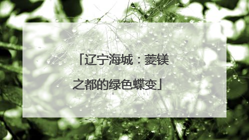 辽宁海城：菱镁之都的绿色蝶变