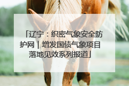 辽宁：织密气象安全防护网｜增发国债气象项目落地见效系列报道