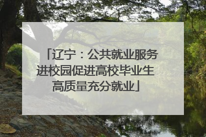 辽宁：公共就业服务进校园促进高校毕业生高质量充分就业