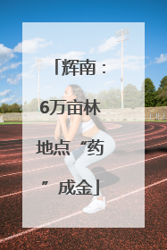 辉南：6万亩林地点“药”成金