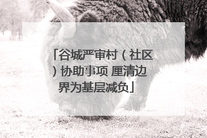 谷城严审村（社区）协助事项 厘清边界为基层减负