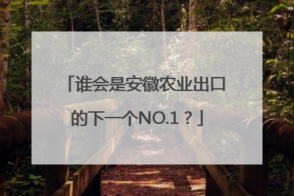 谁会是安徽农业出口的下一个NO.1？