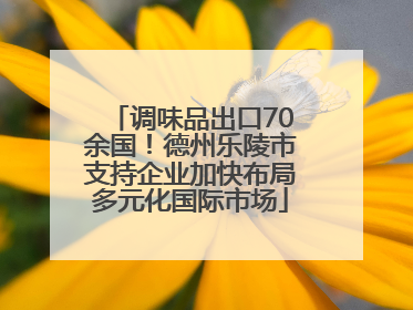 调味品出口70余国！德州乐陵市支持企业加快布局多元化国际市场