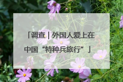 调查｜外国人爱上在中国“特种兵旅行”