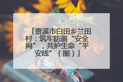 贵溪市白田乡兰田村：筑牢防溺“安全网”，共护生命“平安线”（图）