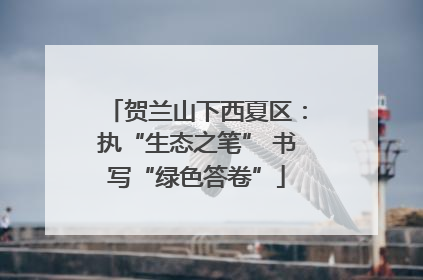 贺兰山下西夏区：执“生态之笔” 书写“绿色答卷”