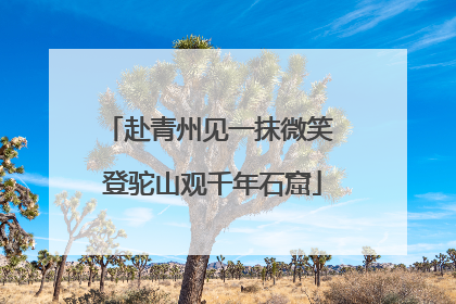 赴青州见一抹微笑 登驼山观千年石窟