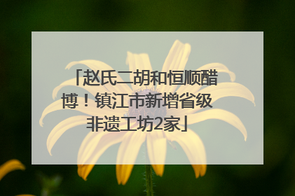 赵氏二胡和恒顺醋博！镇江市新增省级非遗工坊2家
