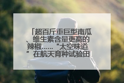 超百斤重巨型南瓜、维生素含量更高的辣椒……“太空味道”在航天育种试验田里拔节生长