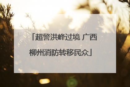 超警洪峰过境 广西柳州消防转移民众