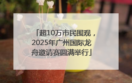 超10万市民围观，2025年广州国际龙舟邀请赛圆满举行