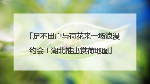 足不出户与荷花来一场浪漫约会！湖北推出赏荷地图