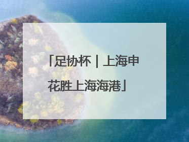 足协杯｜上海申花胜上海海港