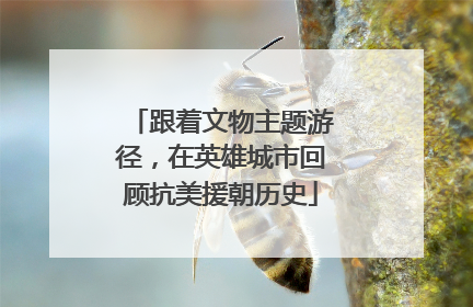 跟着文物主题游径，在英雄城市回顾抗美援朝历史