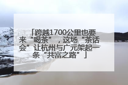 跨越1700公里也要来“喝茶”，这场“茶话会”让杭州与广元架起一条“共富之路”