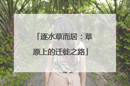 逐水草而居：草原上的迁徙之路